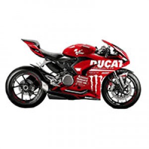 Online Carenados Ducati Panigale V2