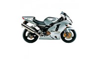 Online Carenados Kawasaki ZX12R 2002-2006