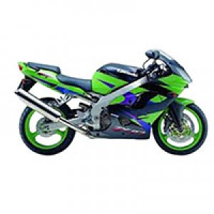 Online Carenados Kawasaki ZX9R 2002-2003