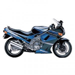 Online Carenados Kawasaki ZZR600