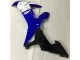 Azul Blanco ABS Carenado Motocicleta R1 02-03