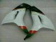 Blanco Negro Carenado Moto CBR 1000 RR 06-07 Blanco Negro Carenado Moto CBR 1000 RR 06-07