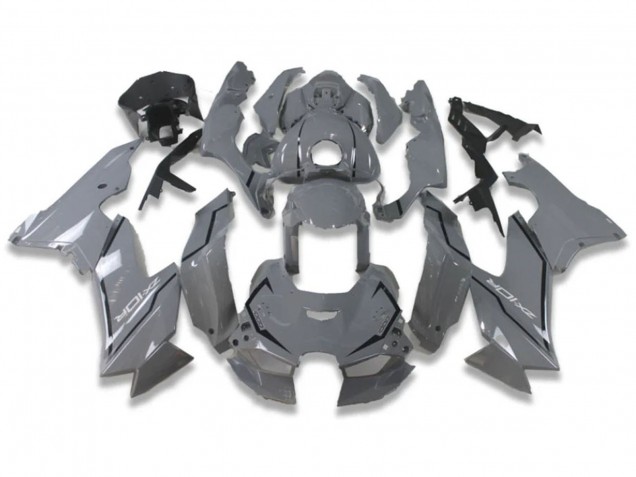 Online Nardo Gris Carenado Moto Kawasaki ZX10R 2021-2025