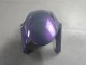 Online Camaleón Gris Dazz Púrpura Perla Carenado Moto Kawasaki ZX6R 2019-2022