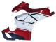 Online Blanco Rojo Verde Negro Mate Carenado Moto Ducati Panigale V4 V4S 2020-2021