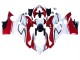 Online Blanco Rojo Verde Negro Brillante Carenado Moto Ducati Panigale V4 V4S 2018-2019