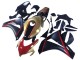 Online Oro Rojo Negro Brillante Carenado Moto Honda CBR1000RR 2008-2011