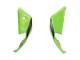 Online Verde Negro Rojo Carenado Moto Kawasaki ZX10R 2021-2025