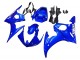 Online Azul Carenado Moto Yamaha YZF R6S 2006-2009