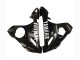 Online Negro Brillante Carenado Moto Yamaha YZF 600 R6 2005