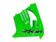 Online Verde Carenado Moto Kawasaki ZX9R 2000-2001