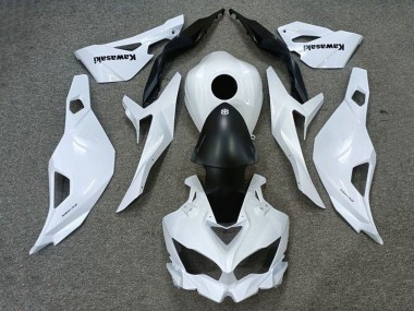 Online Blanco Negro Mate Carenado Moto Kawasaki ZX25R ZX-25R 2019-2025