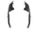 Online FibraCarbono Carenado Moto Aprilia RS660 2020-2024
