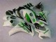 Verde Blanco Carenado Moto & Plástico CBR 1000 RR 08-11 Verde Blanco Carenado Moto & Plástico CBR 1000 RR 08-11