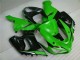 Verde Blanco Negro Carenado Moto ZX6R 05-06 Verde Blanco Negro Carenado Moto ZX6R 05-06