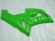 Verde Carenado Moto ZX6R 05-06 Verde Carenado Moto ZX6R 05-06