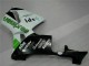 Verde Kit Carenado ABS Completo CBR 600 RR 05-06 Verde Kit Carenado ABS Completo CBR 600 RR 05-06